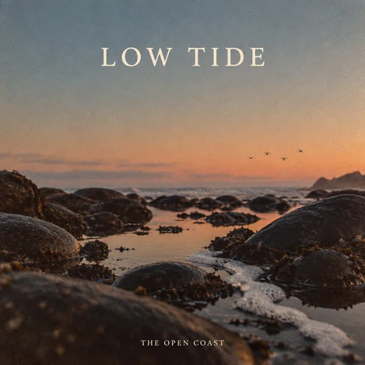 Plantilla Tidepool Film