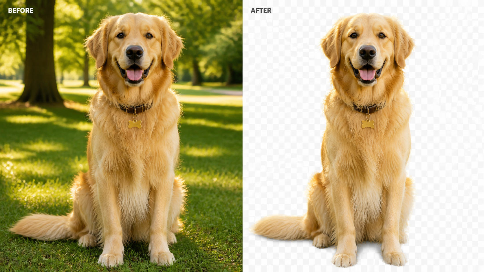 Pet Fur Cutout template